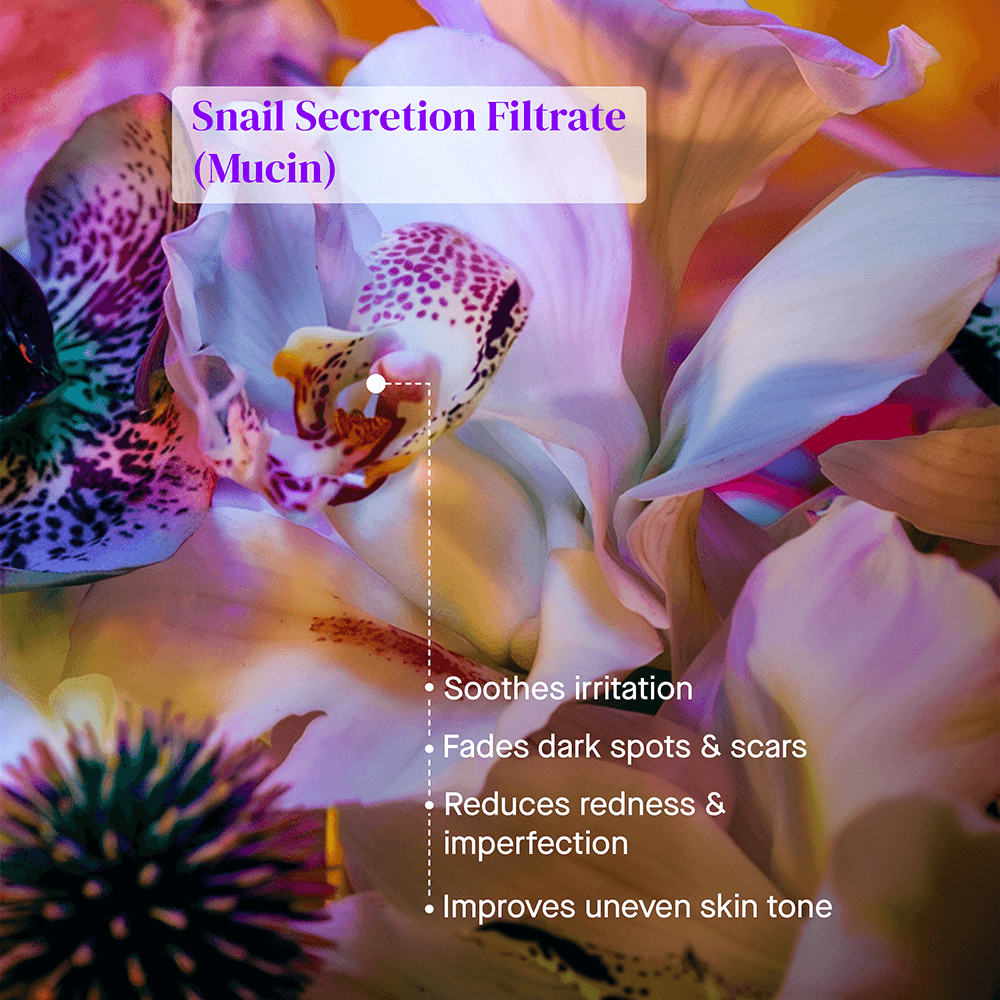 Snail Mucin Essence