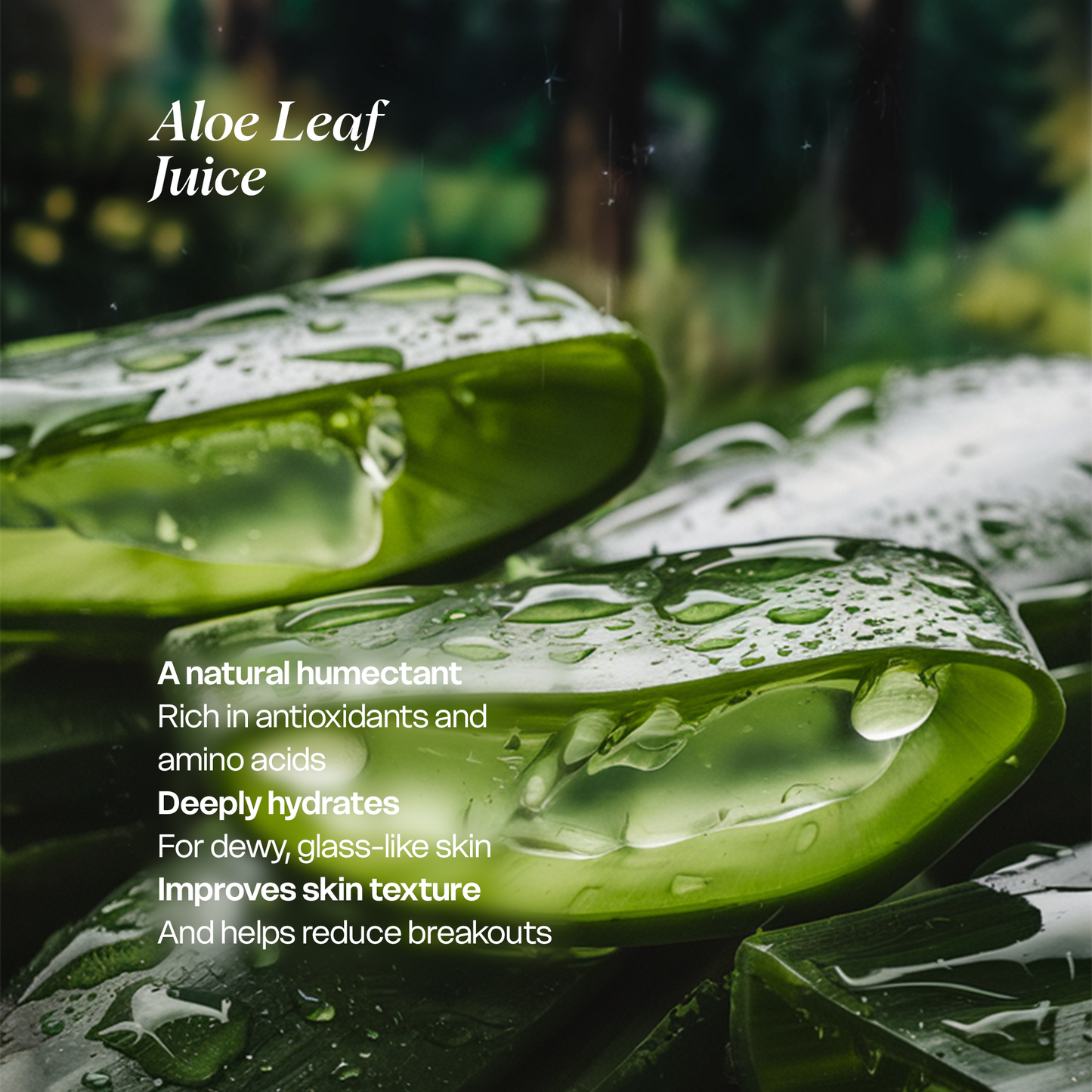 Clean & Hydrate Face