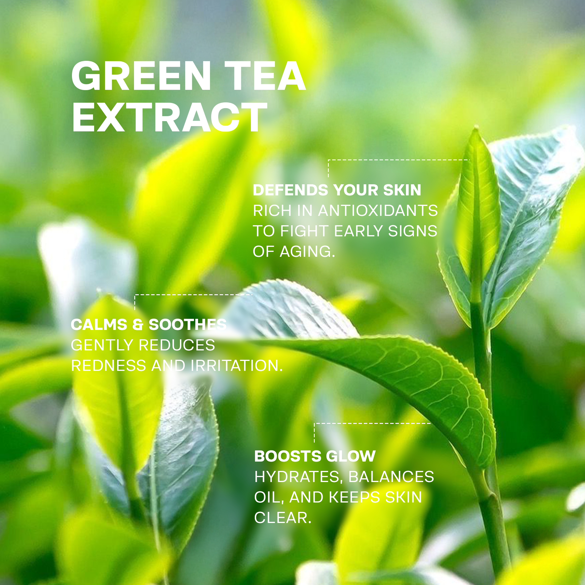 Full Face Moisture Set